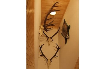 Pensiune familială Oravský Biely Potok 7